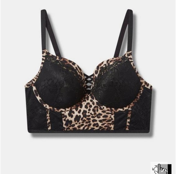XO Plunge Push-Up Bra NWT - Picture 2 of 4